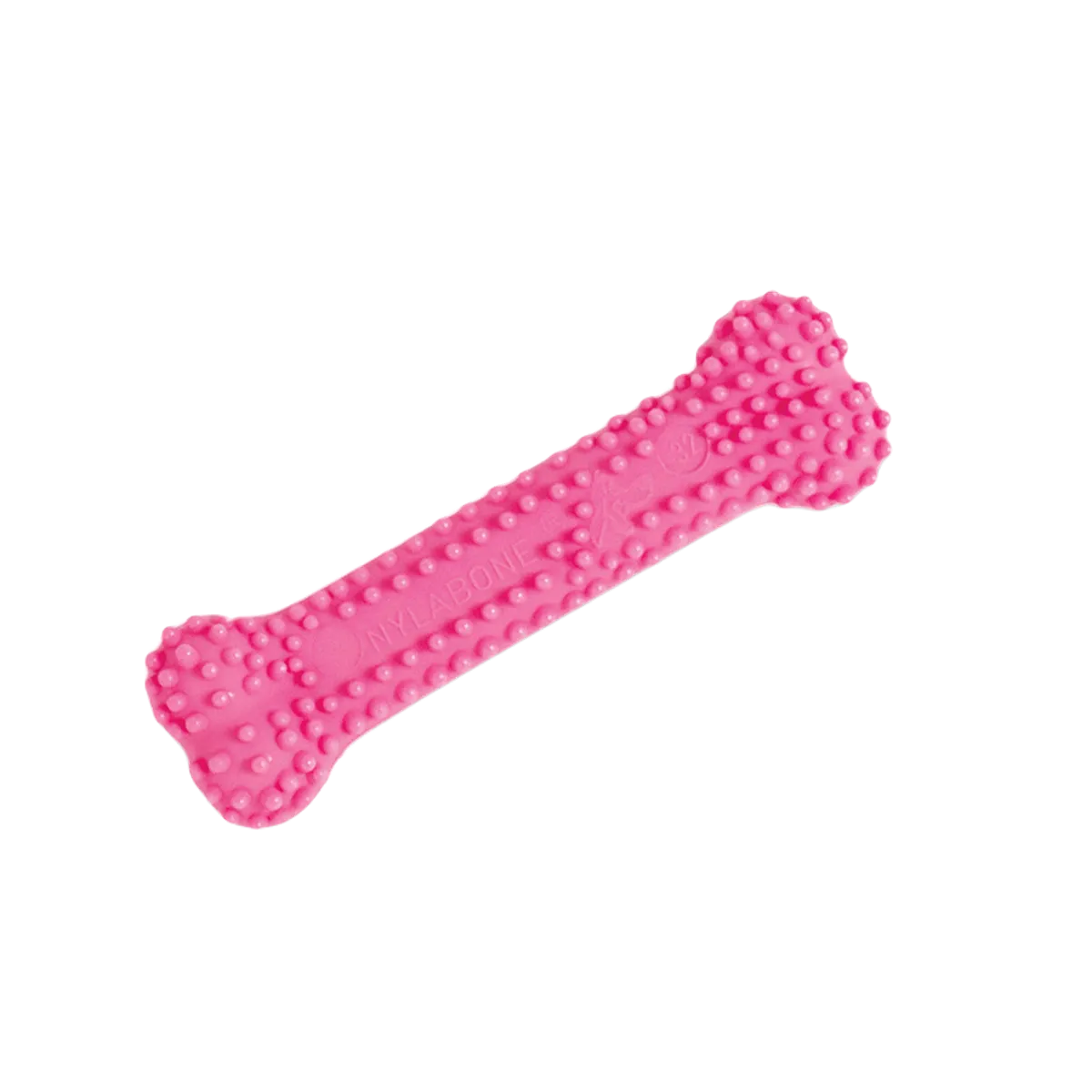 Dog Teerher Bone