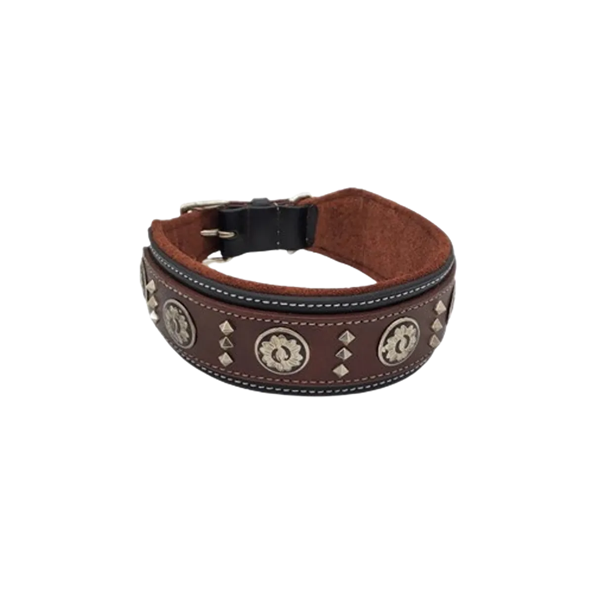 Dog Fancy Collar Xl