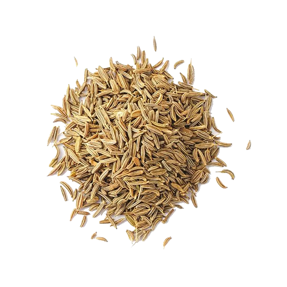 Cumin Seed 100g