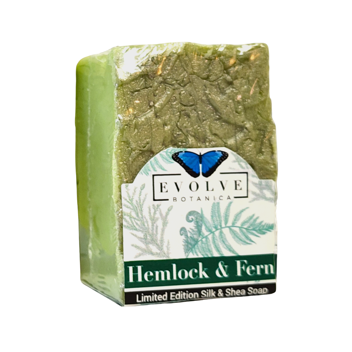 Evolve Botanica + Specialty Soap - Hemlock & Fern (Seasonal, Spring, Father's Day) + Case of 6 + 5.30 oz