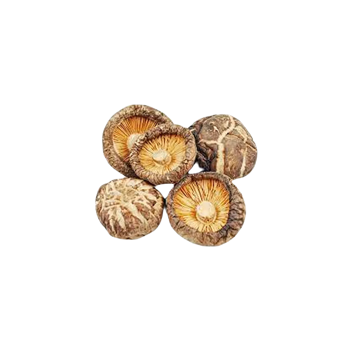 Cock Thai Food Dried Mushroom