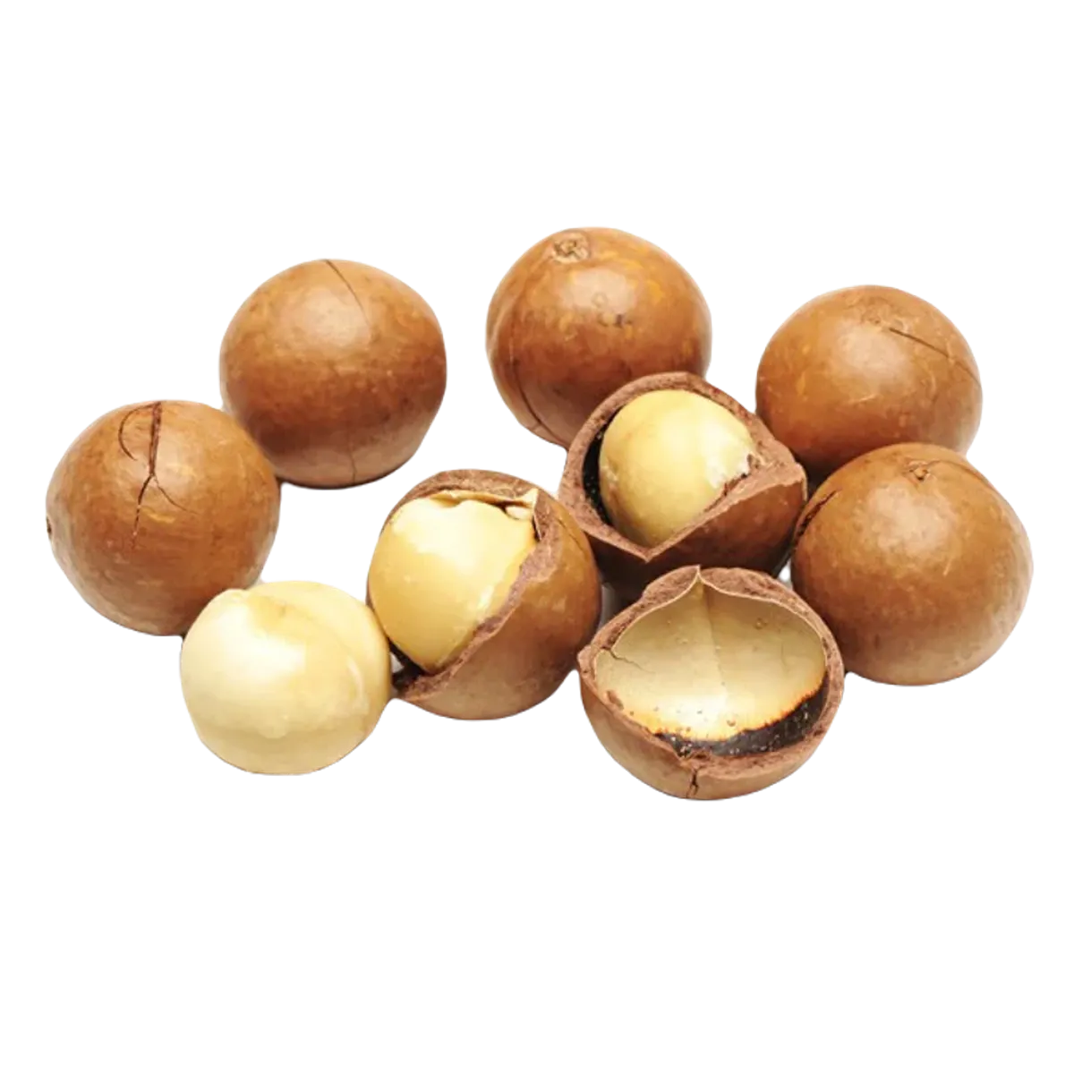 Esajee Dry Fruit Macadamia Shell 200g