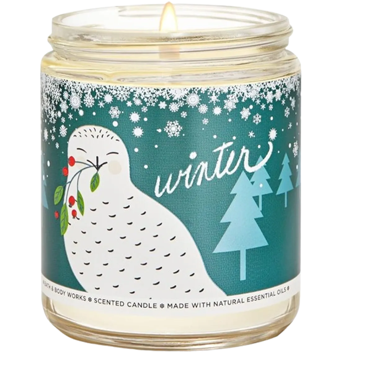 Bath & Body Works Single Wick Candle Winter
