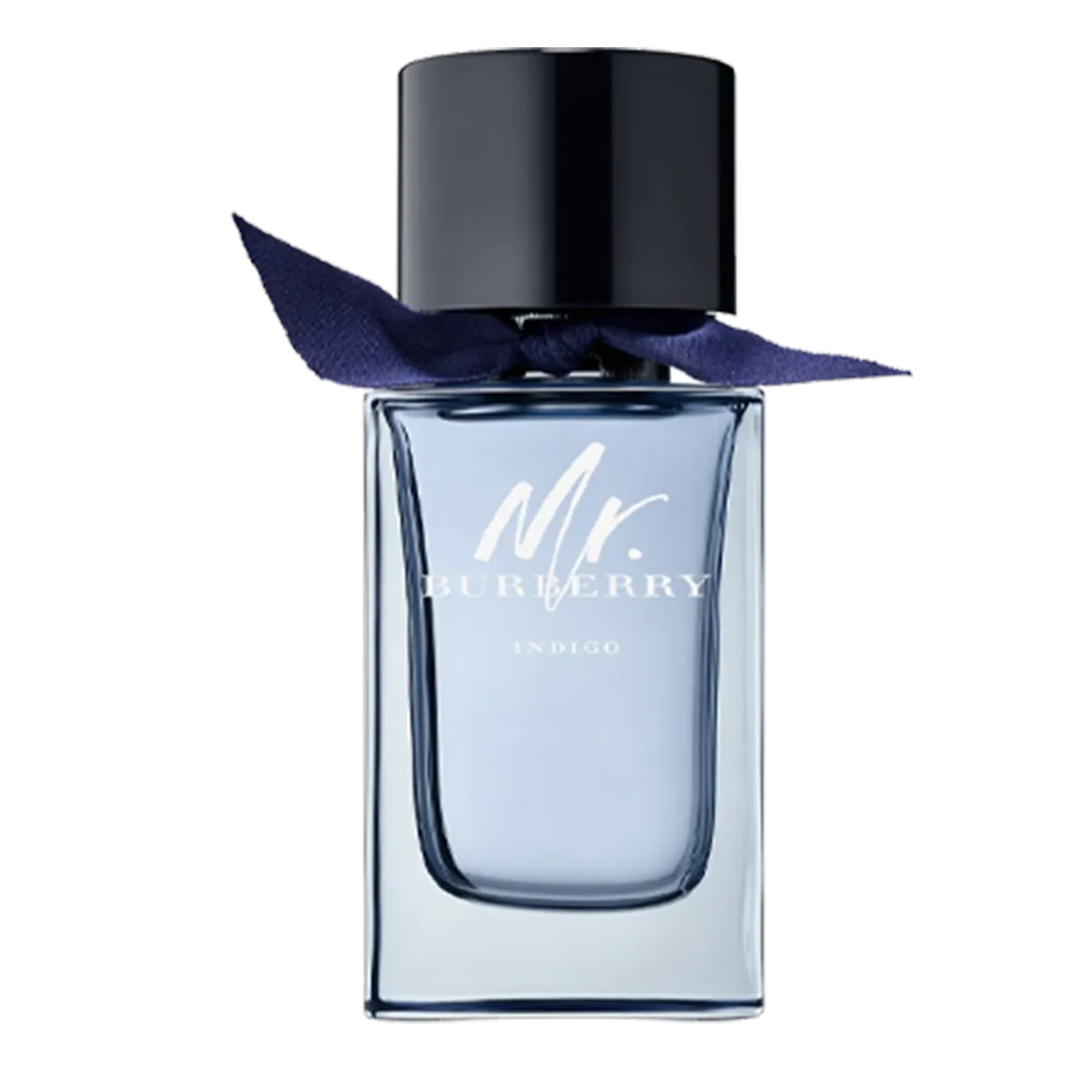 Mr Burberry Indigo Men Perfume 100ml