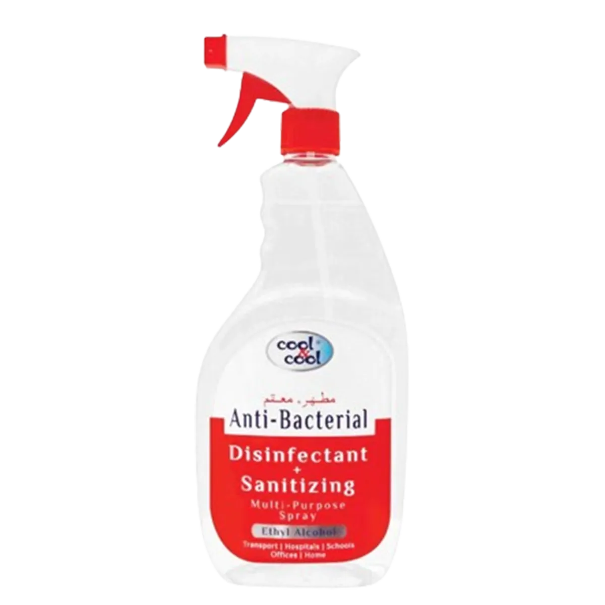 Anti-Bacterial Disinfectant + Sanitizing 750ml