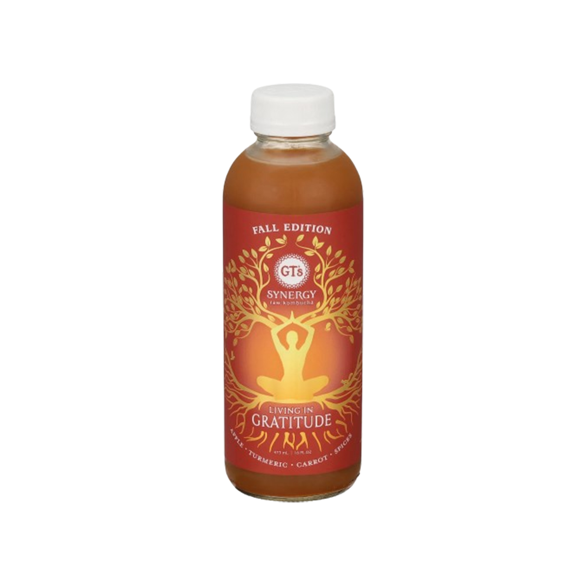 Gts, Synergy Raw Living In Gratitude Kombucha, Case Of 12, 16 oz