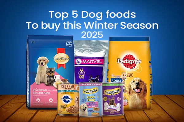 Top 5 Dog foods to buy this Winter Season 2025