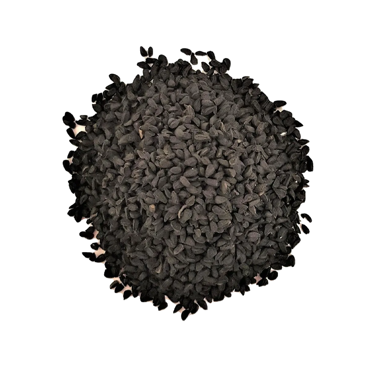 Onion Seeds 100g